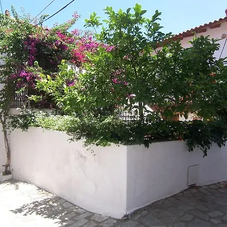 Louloudi With Flowery Court Yard 斯基亚索斯镇